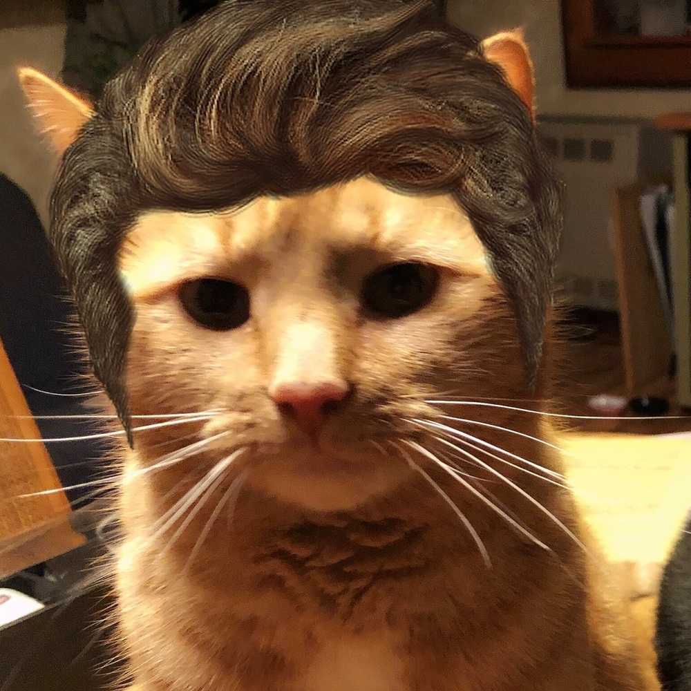 Meet your Posher, Aja